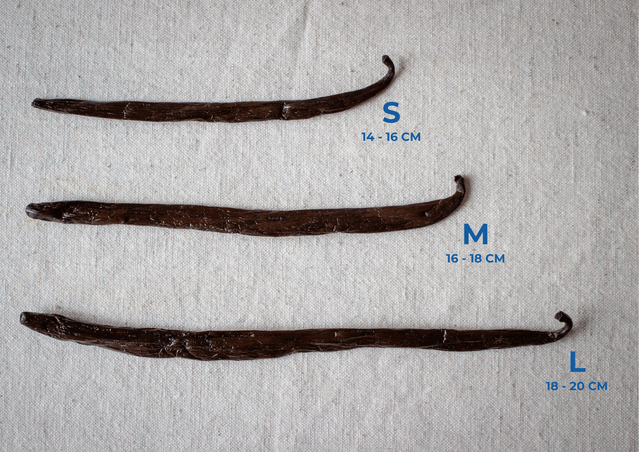 3 Gousses de vanille Bourbon de Madagascar en tube